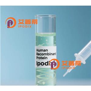 CHRM3抗体—艾普蒂