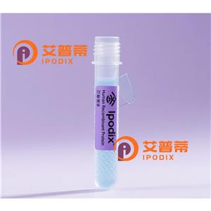 CD248抗体—艾普蒂