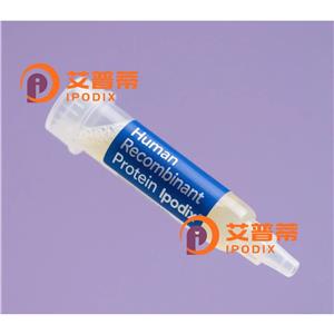 PINK1抗體,Mouse Monoclonal PINK1 Antibody