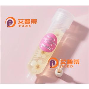 CYCS抗体—艾普蒂