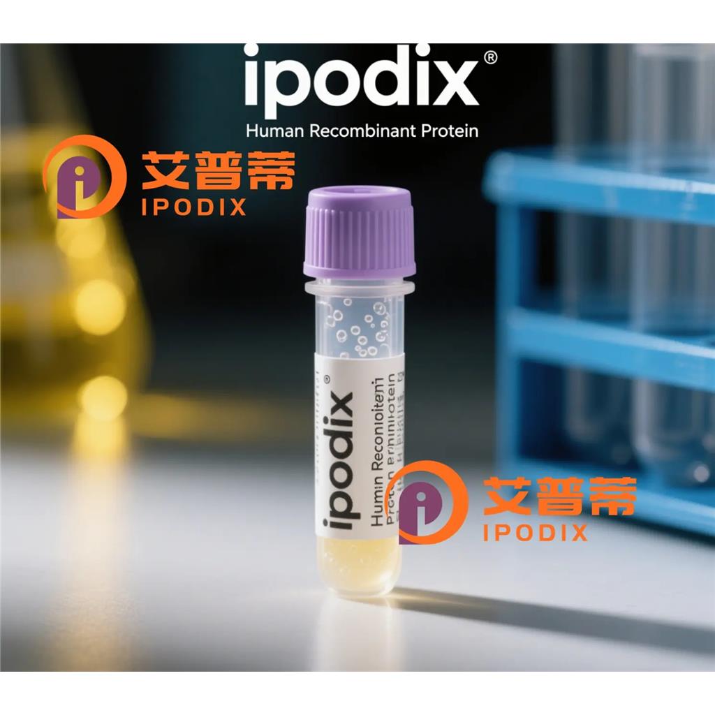 SH2B2抗体,Mouse Monoclonal SH2B2 Antibody