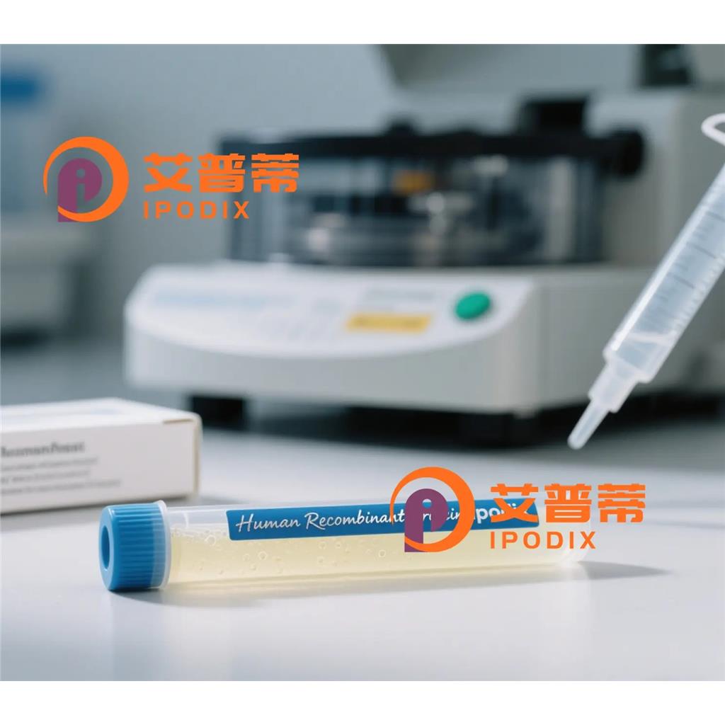 TP53BP1抗体,Mouse Monoclonal TP53BP1 Antibody