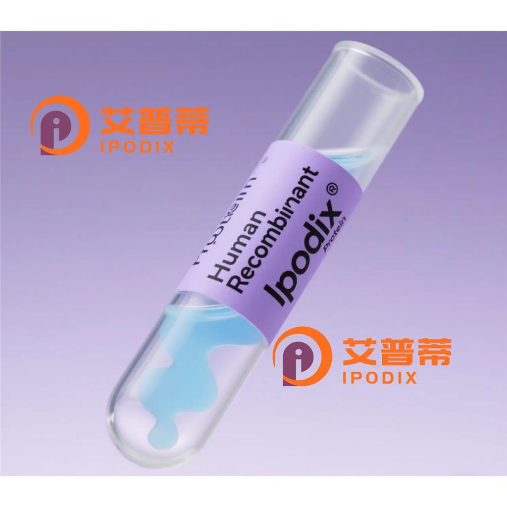 BOLL抗体,Rabbit Polyclonal BOLL Antibody
