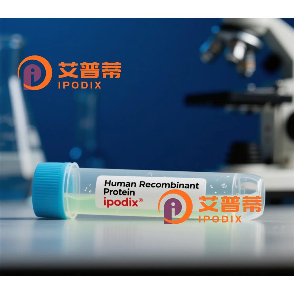 ACVR1B抗体,Rabbit Polyclonal ACVR1B Antibody