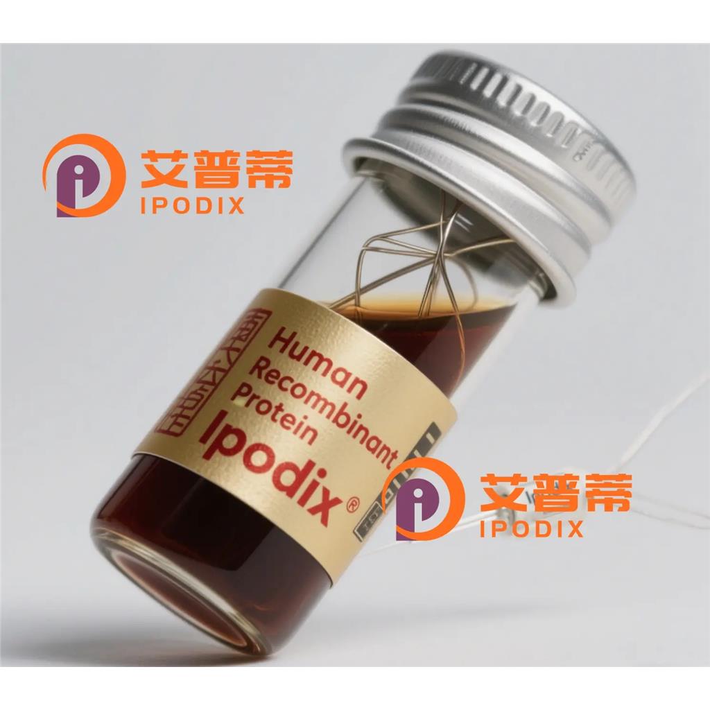 TWSG1抗体,Rabbit Polyclonal TWSG1 Antibody