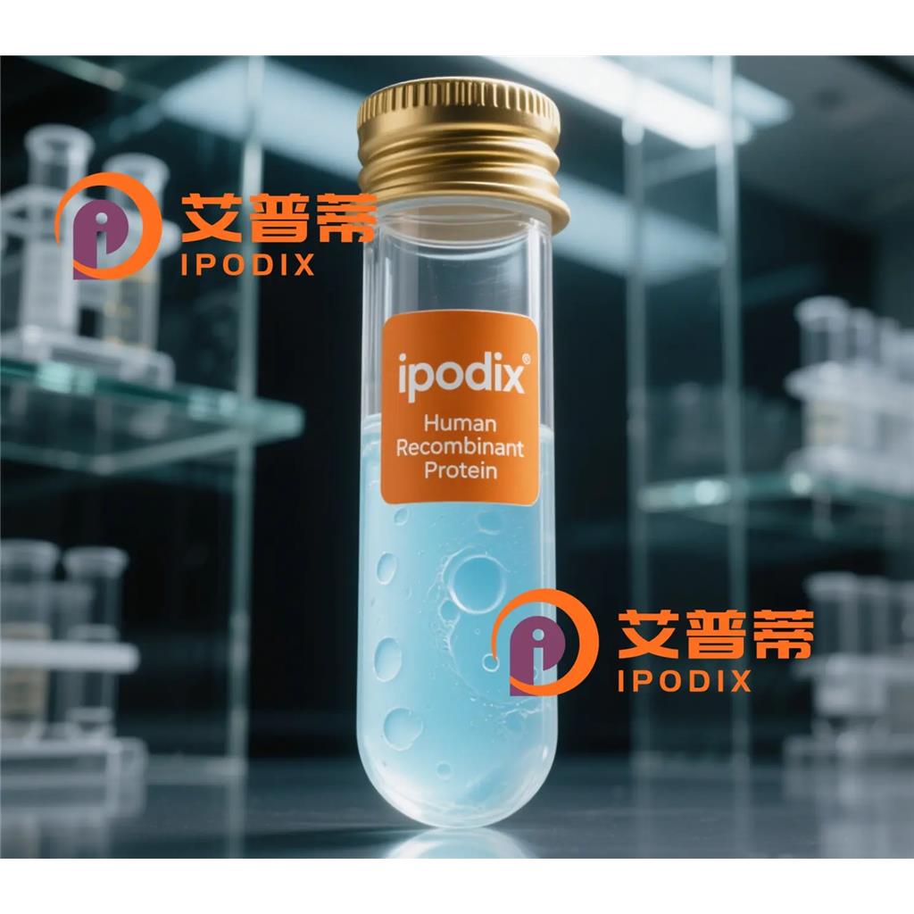 WDR1抗體,Rabbit Polyclonal WDR1 Antibody