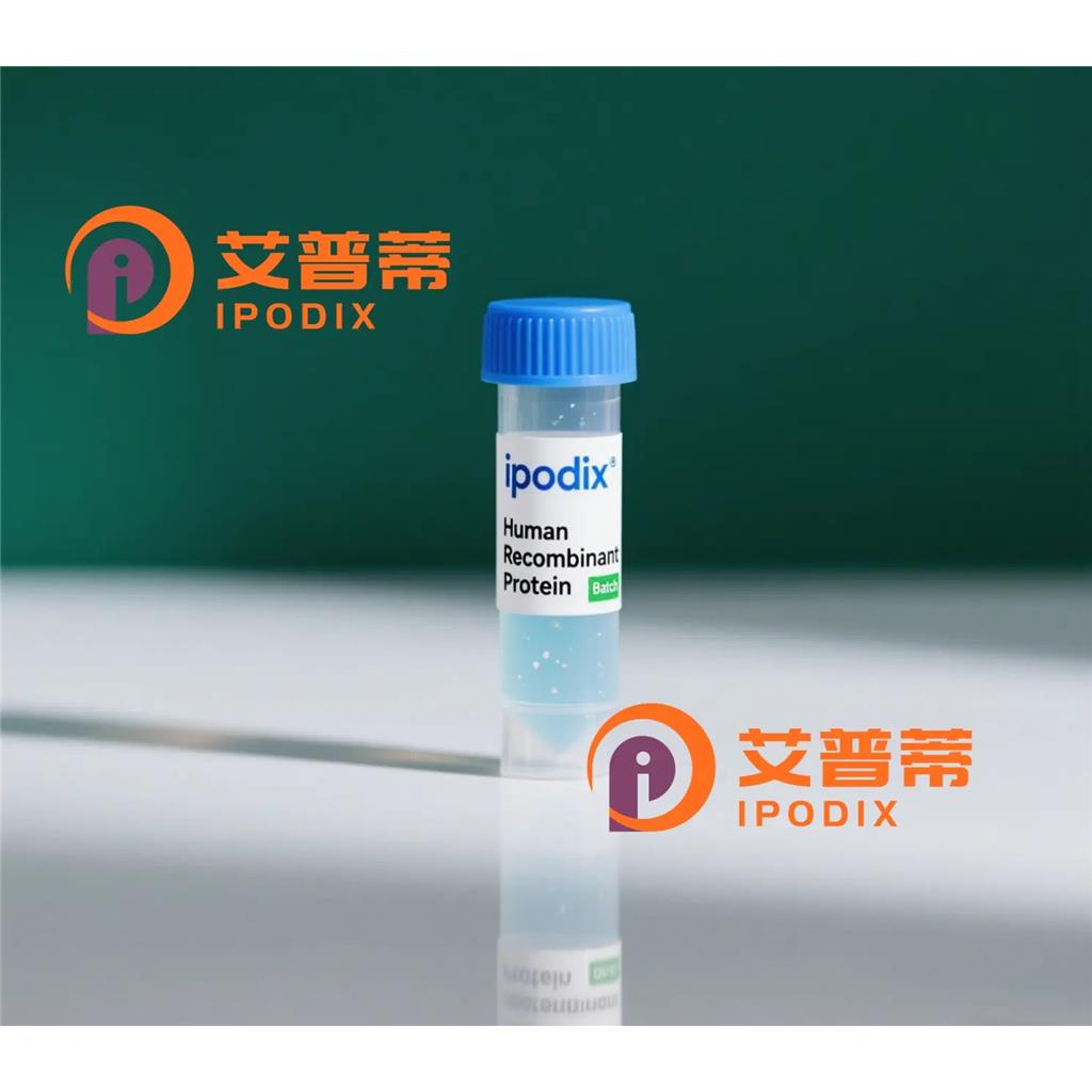 NIPSNAP3A抗体,Rabbit Polyclonal NIPSNAP3A Antibody