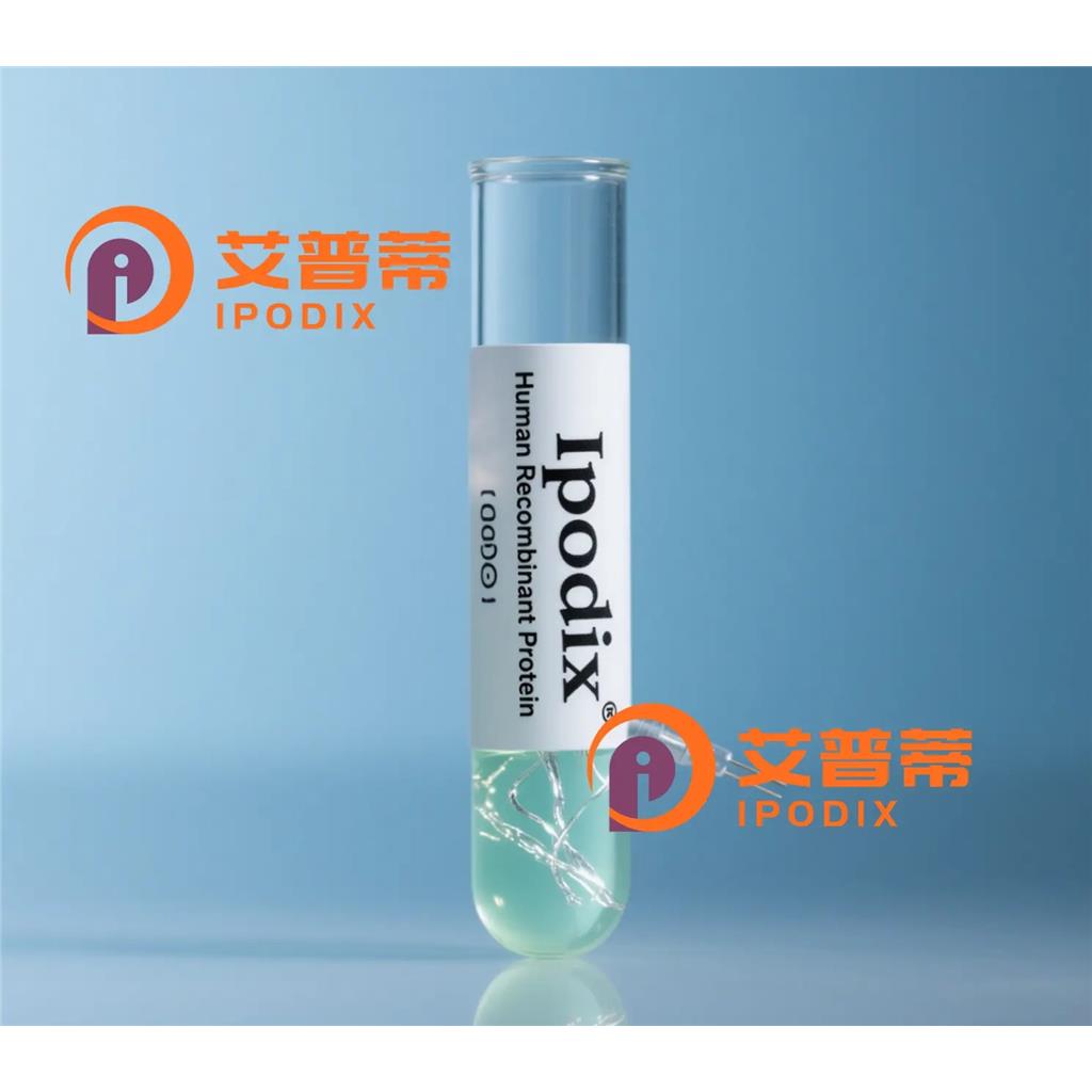 CNPY3抗體,Rabbit Polyclonal CNPY3 Antibody