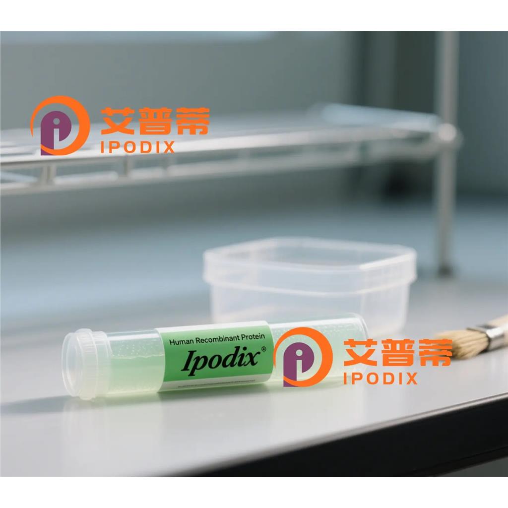 PTGES3L-AARSD1抗体,Rabbit Polyclonal PTGES3L-AARSD1 Antibody