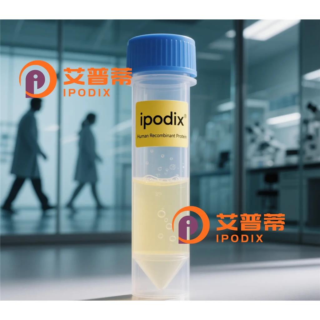 ZNRD2抗体,Rabbit Polyclonal ZNRD2 Antibody