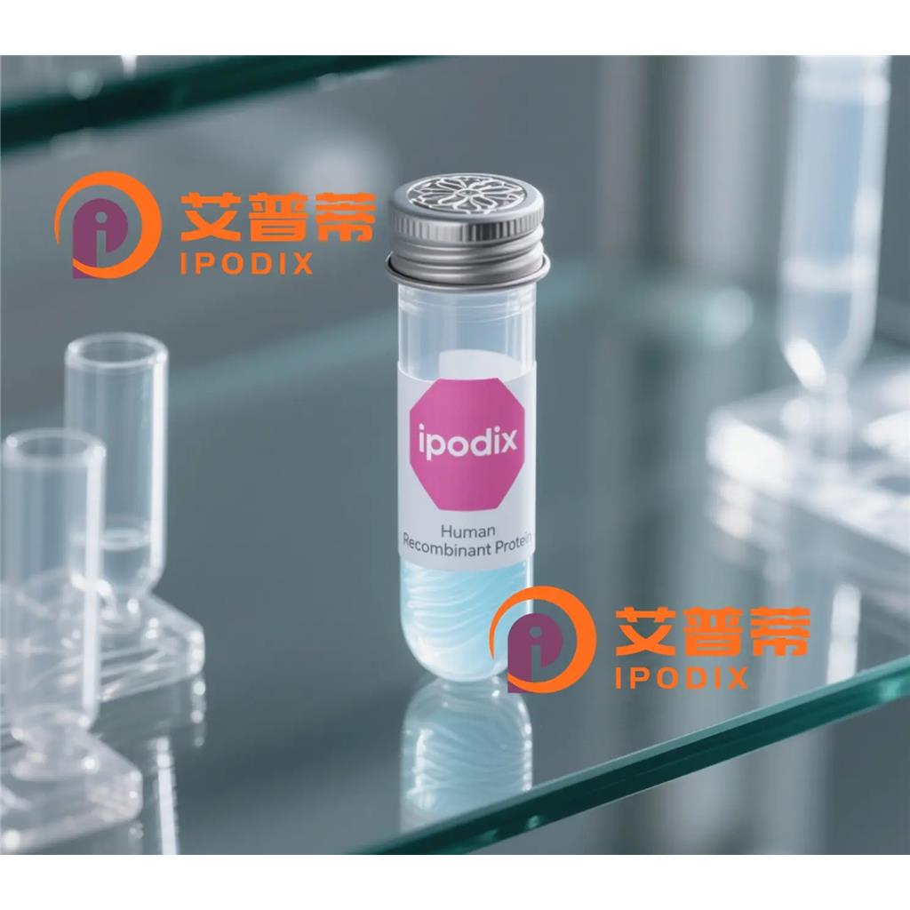 ERH抗体,Rabbit Polyclonal ERH Antibody