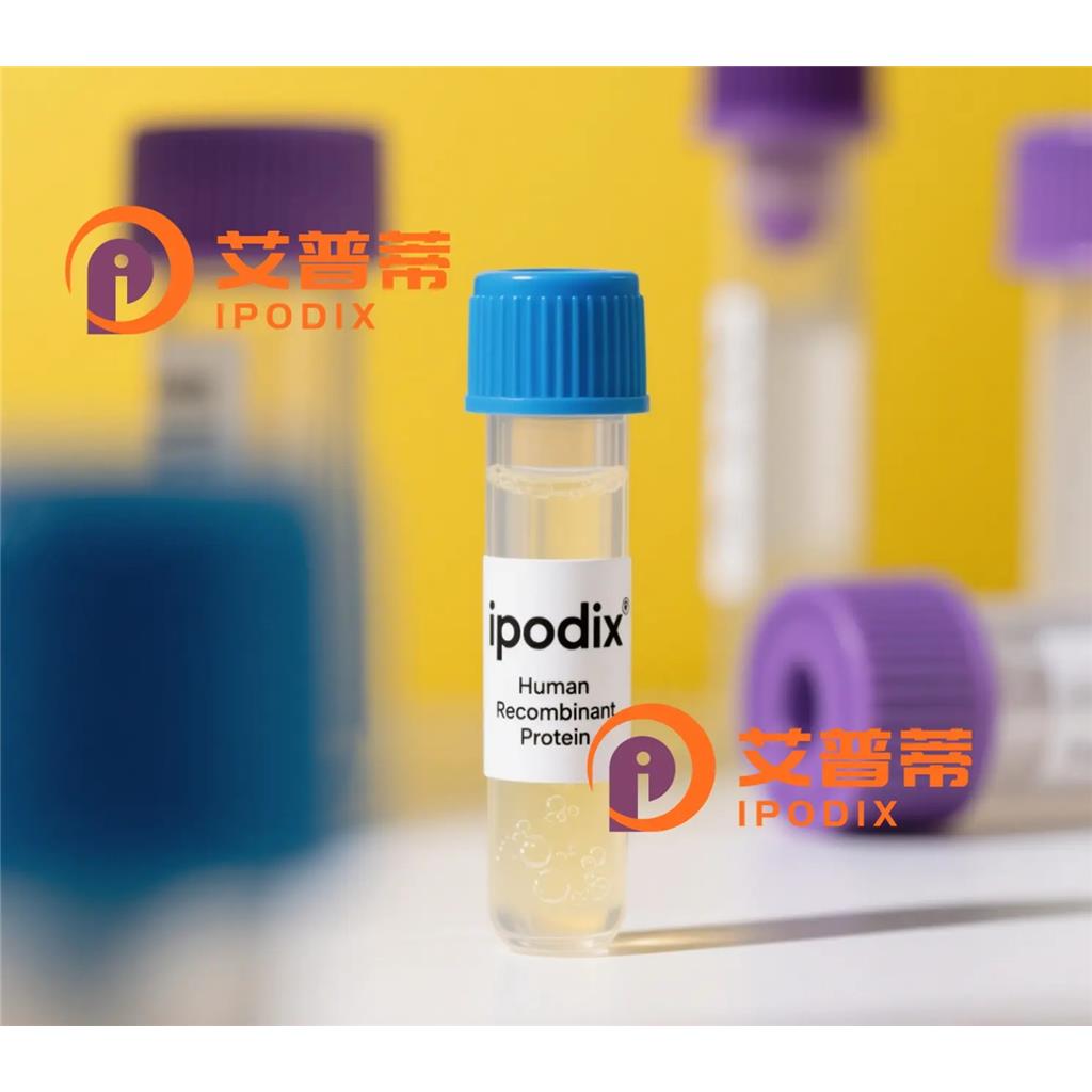 MLF1抗体,Rabbit Polyclonal MLF1 Antibody