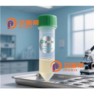 ATP抗体,Mouse Monoclonal ATP Antibody