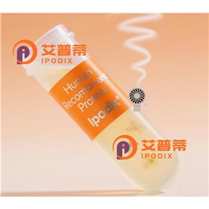 BOLL抗体,Rabbit Polyclonal BOLL Antibody