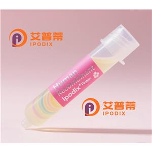 TPM4抗體,Rabbit Polyclonal TPM4 Antibody