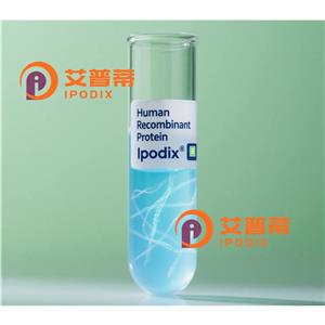 SARS-CoV-2 N抗體—艾普蒂
