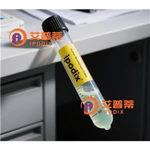 TUFM抗体,Rabbit Polyclonal TUFM Antibody