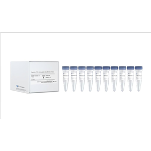 EasyCap T7 Co-transcription Kit with CAG Trimer