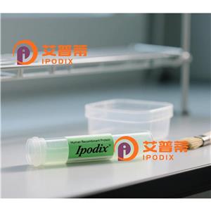 PTGES3L-AARSD1抗体,Rabbit Polyclonal PTGES3L-AARSD1 Antibody