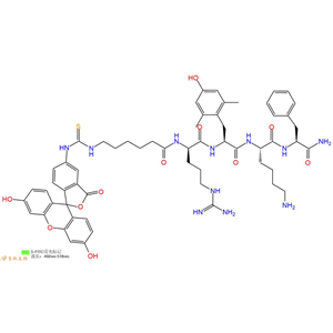 熒光標(biāo)記線粒體靶向抗氧化劑SS-31