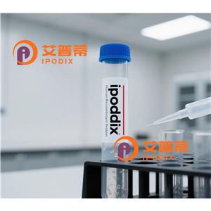 MLF1抗体,Rabbit Polyclonal MLF1 Antibody