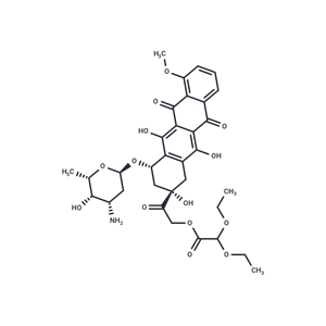 化合物 Detorubicin Free Base|T68909|TargetMol