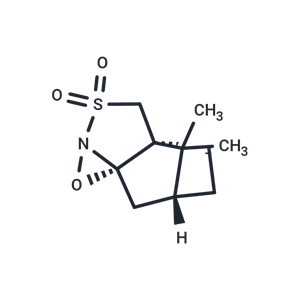 化合物 (1S)-(+)-(10-Camphorsulfonyl)oxaziridine|T65662|TargetMol