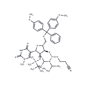 5'-DMT-2'-O-TBDMS-N1-甲基-假尿苷-CE-亞磷酰胺|TNU0961|TargetMol