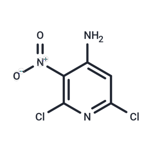化合物 2,6-Dichloro-3-nitro-4-pyridinamine|TNU0894|TargetMol