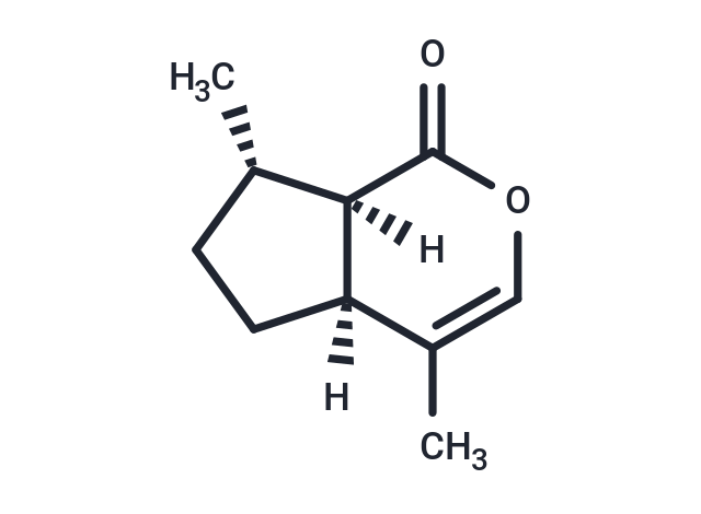 化合物 4aα,7α,7aα-Nepetalactone,4aα,7α,7aα-Nepetalactone