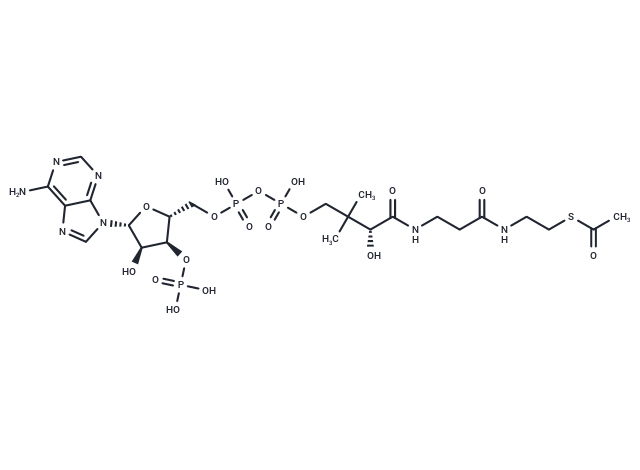 化合物 Acetyl coenzyme A,Acetyl coenzyme A