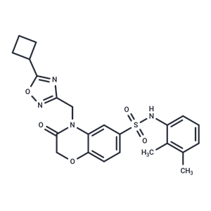 化合物 Beclin1-ATG14L interaction inhibitor 1,Beclin1-ATG14L interaction inhibitor 1