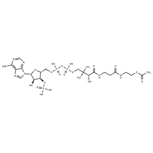 化合物 Acetyl coenzyme A,Acetyl coenzyme A