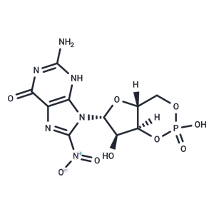 化合物 8-Nitro-cGMP|T68374|TargetMol