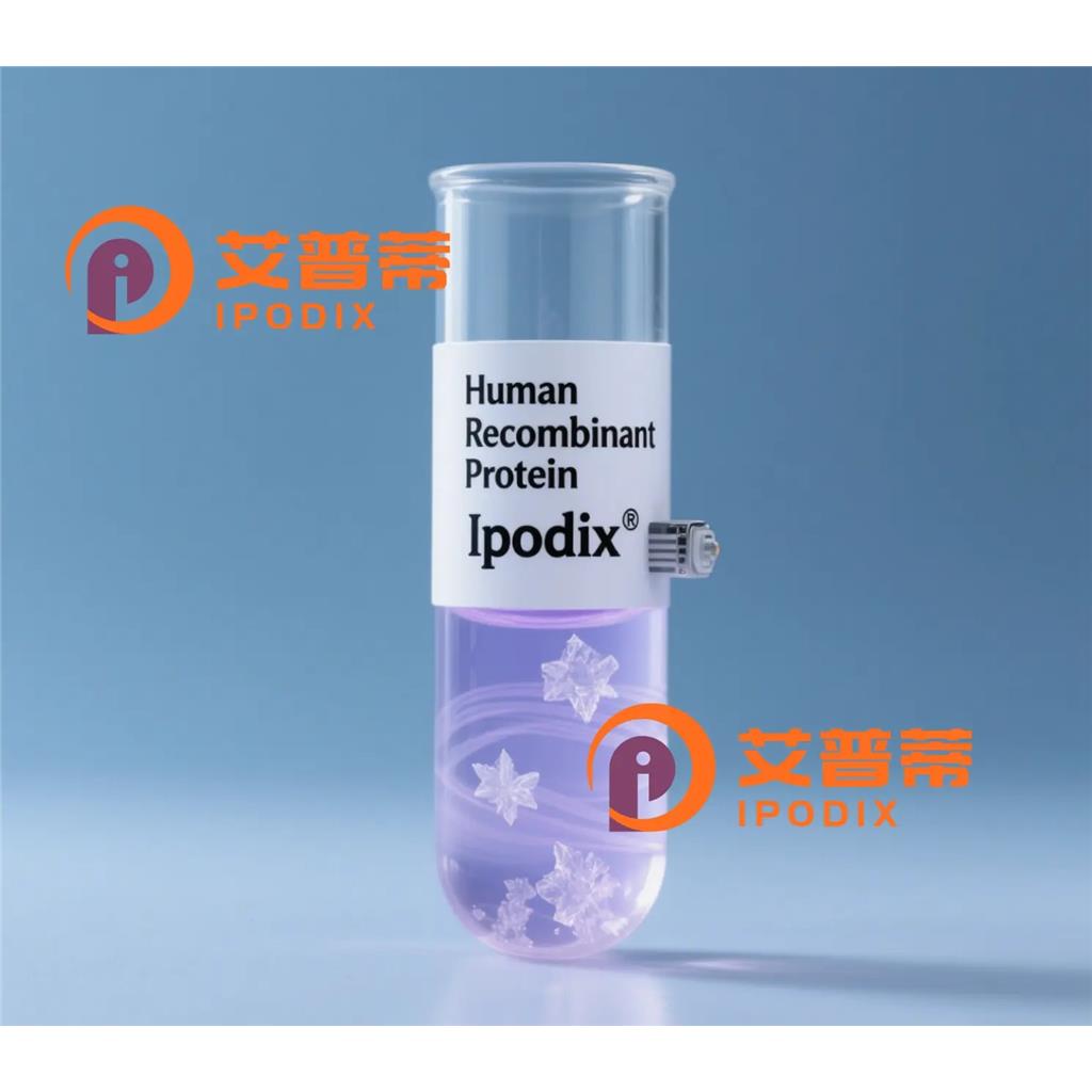 DNASE1L2抗體,Rabbit Polyclonal DNASE1L2 Antibody