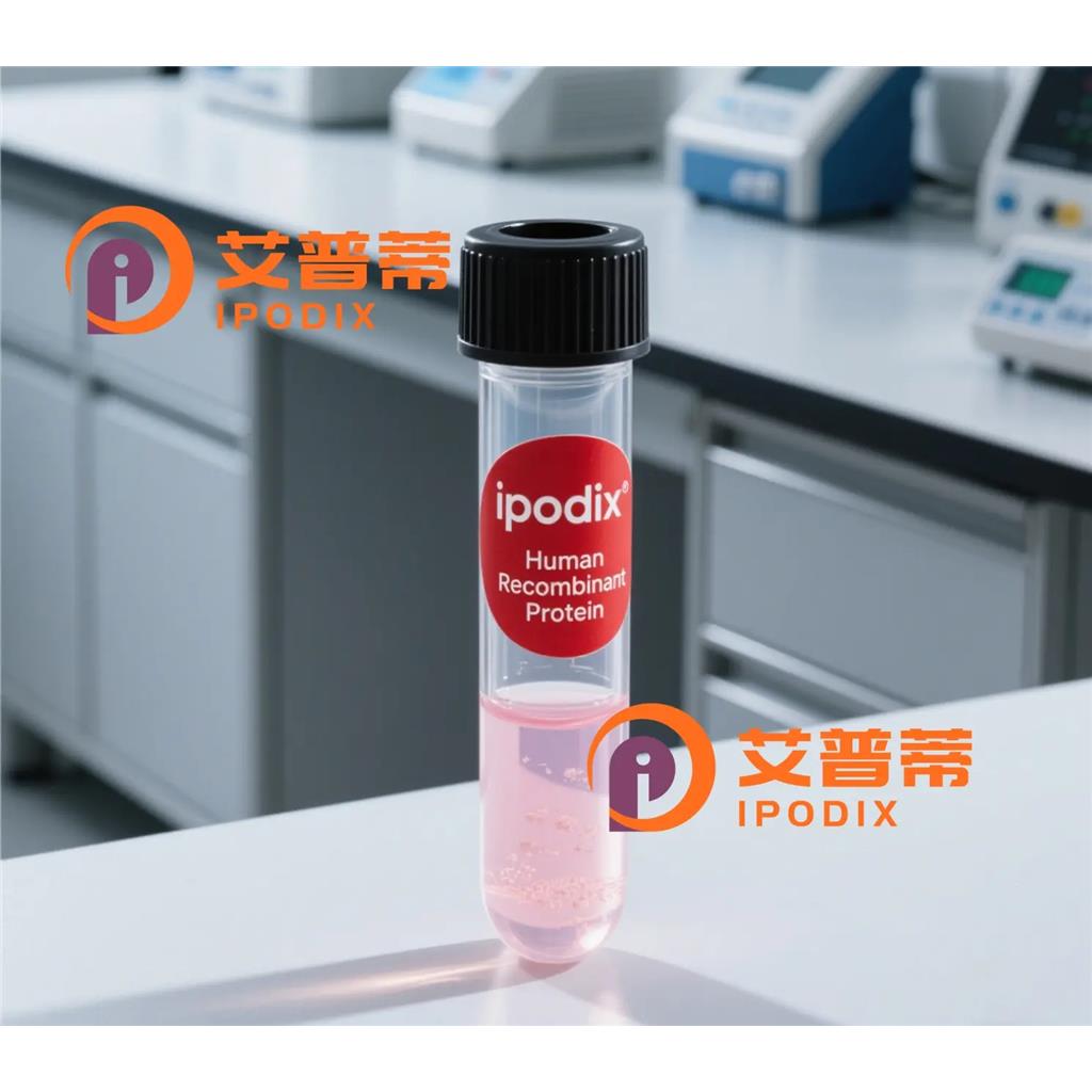 ROMO1抗体,Rabbit Polyclonal ROMO1 Antibody