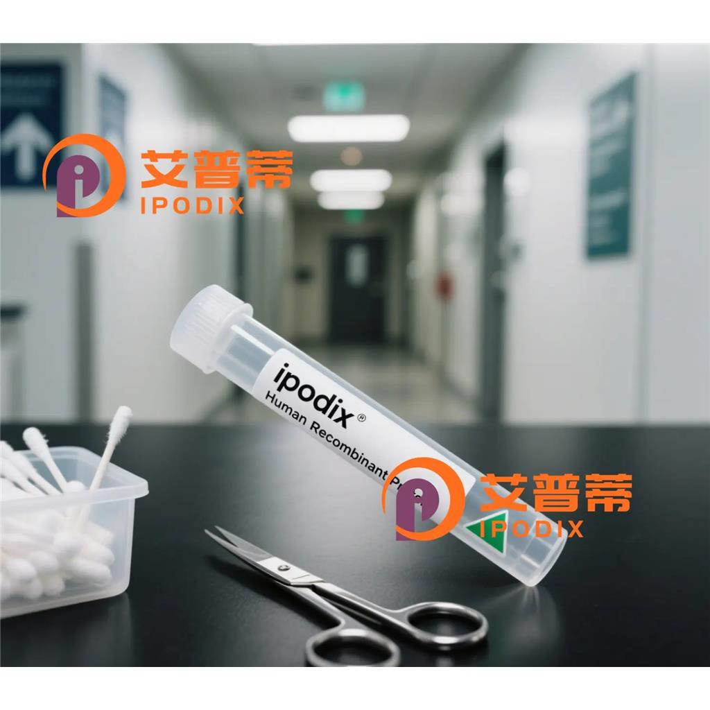 ONECUT1抗體,Rabbit Polyclonal ONECUT1 Antibody