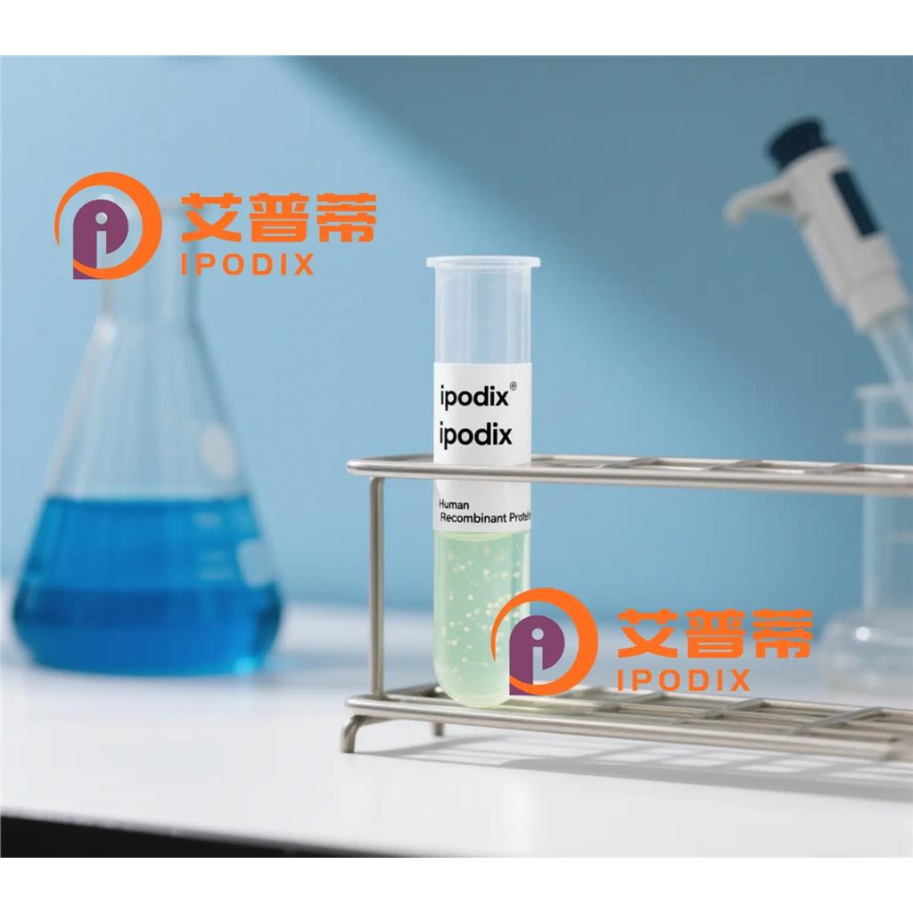 COX7B抗体,Rabbit Polyclonal COX7B Antibody