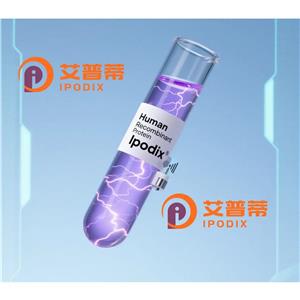 CLEC4M抗體,Rabbit Polyclonal CLEC4M Antibody
