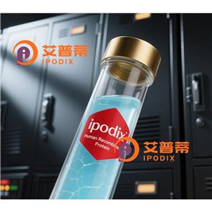 BORA抗体,Rabbit Polyclonal BORA Antibody