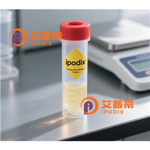 CPD抗体,Rabbit Polyclonal CPD Antibody