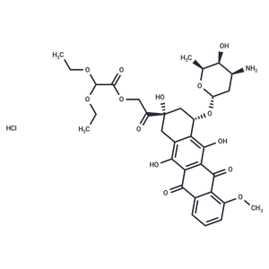 化合物 Detorubicin HCl|T68948|TargetMol