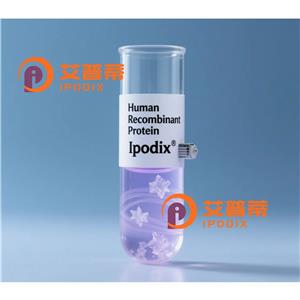 DNASE1L2抗體,Rabbit Polyclonal DNASE1L2 Antibody