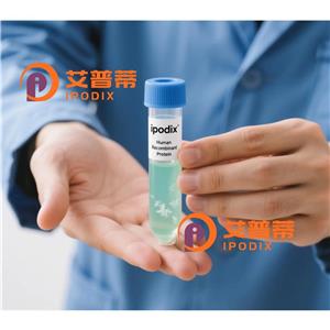 ACD抗體,Rabbit Polyclonal ACD Antibody
