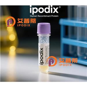 DCAF17抗體,Rabbit Polyclonal DCAF17 Antibody