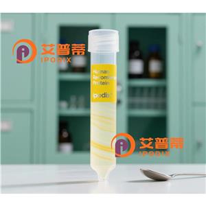 MECOM抗體,Rabbit Polyclonal MECOM Antibody