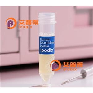 HLA-DOB抗体—艾普蒂