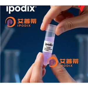 JDP2抗体—艾普蒂