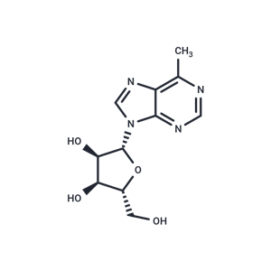 化合物 6-Methylpurine-beta-D-riboside, 6-D-MPR|TNU0008|TargetMol