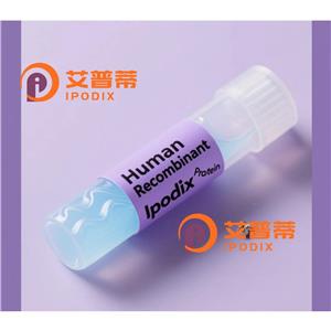 IL1RAP抗体,Rabbit Polyclonal IL1RAP Antibody